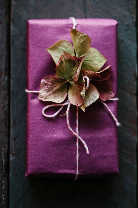 gift-wrap-hydrangea