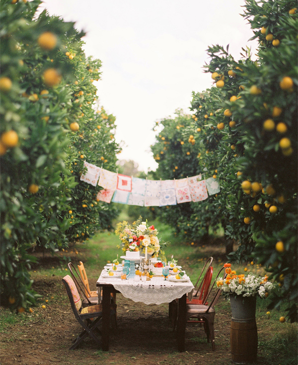 wedding reception ideas - intimate outdoor wedding 