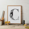 Initial Letter Jungle Black And White Bold Print C